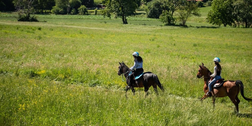 Circolo ippico il grillo corsa a cavallo